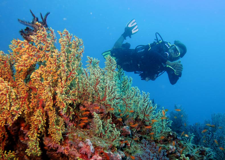 Everything you need to know about India Scuba Explorers, best place for scuba diving in Andaman