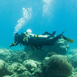 Underwater environment: E-learning module by PADI