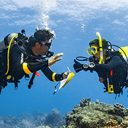 Dive Theory: E-learning module by PADI